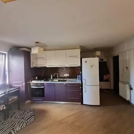 Apartamentul 2 Cluj-Napoca